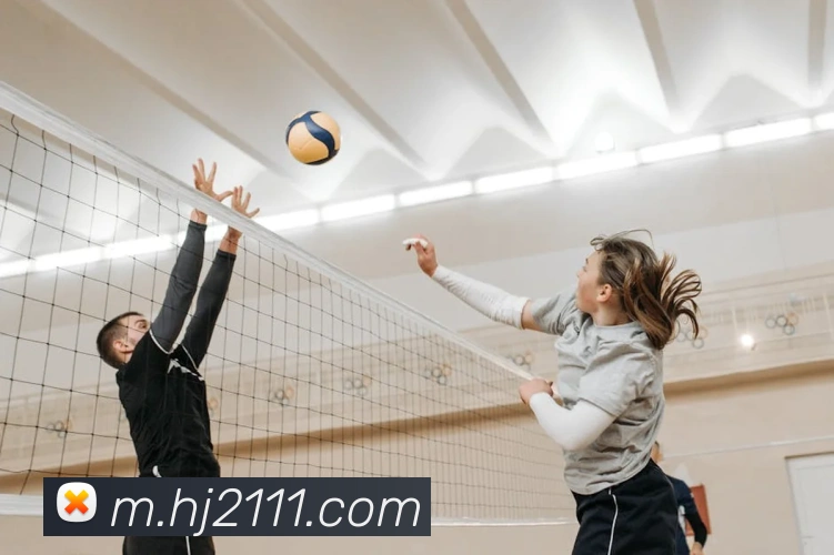 互动解说服务